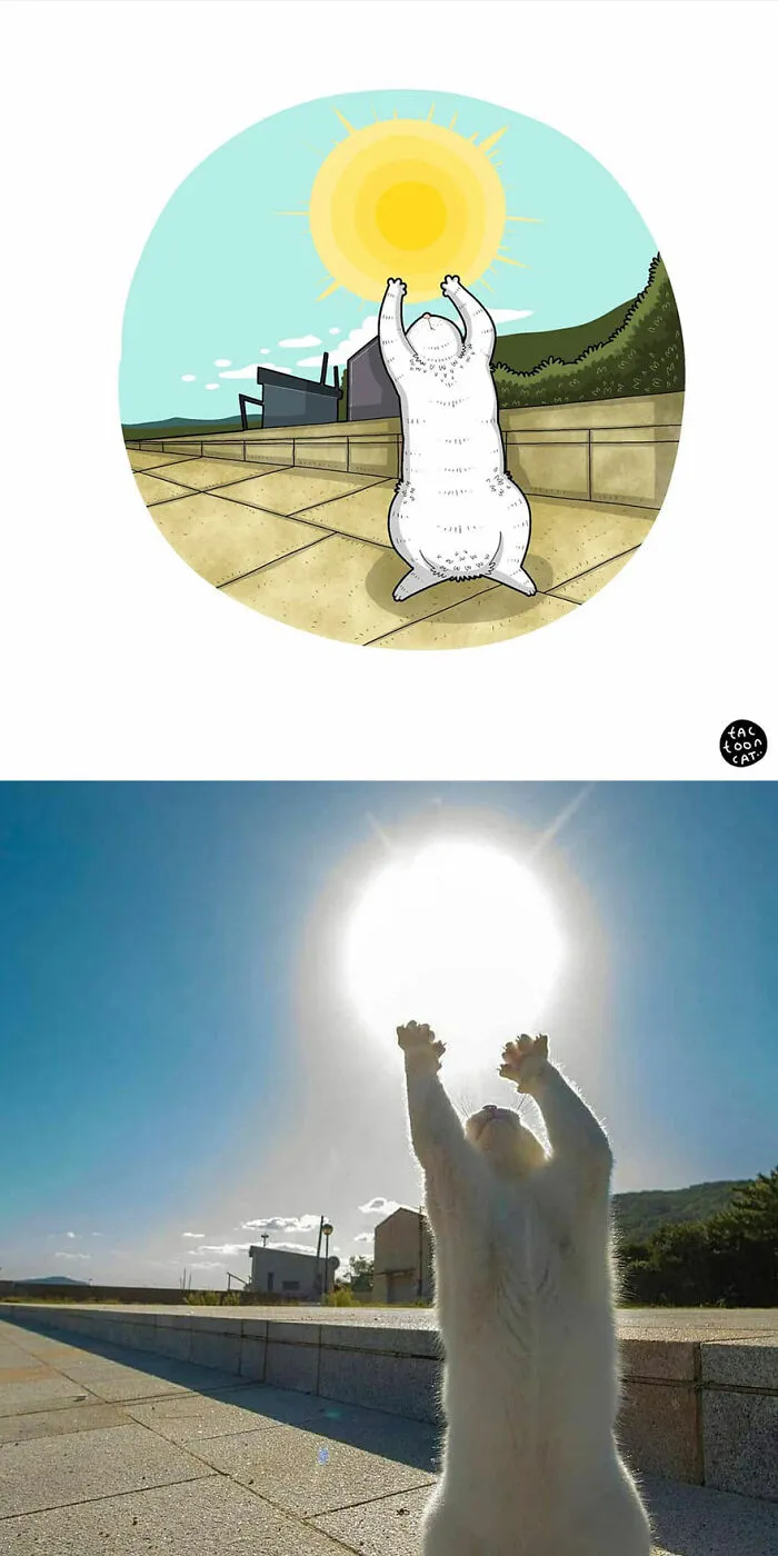 40 Of The Funniest Internet-Famous Cat Pics Get Illustrated By Tactooncat (New Pics)