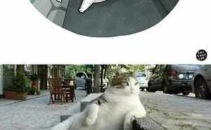 40 Of The Funniest Internet-Famous Cat Pics Get Illustrated By Tactooncat (New Pics)