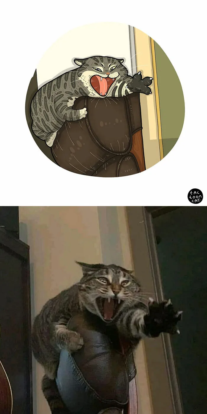 40 de las fotos de gatos más divertidas de Internet son ilustradas por Tactooncat (nuevas fotos)
