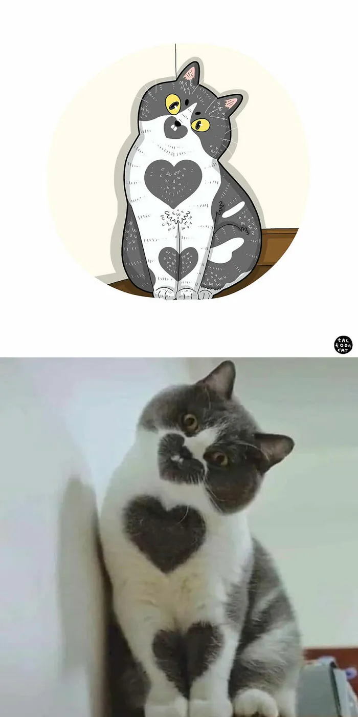 40 de las fotos de gatos más divertidas de Internet son ilustradas por Tactooncat (nuevas fotos)