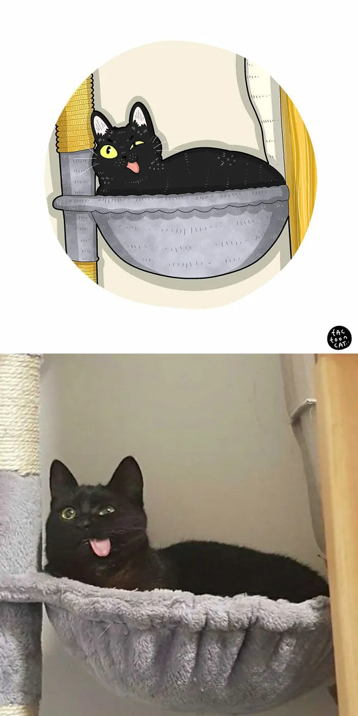 40 de las fotos de gatos más divertidas de Internet son ilustradas por Tactooncat (nuevas fotos)