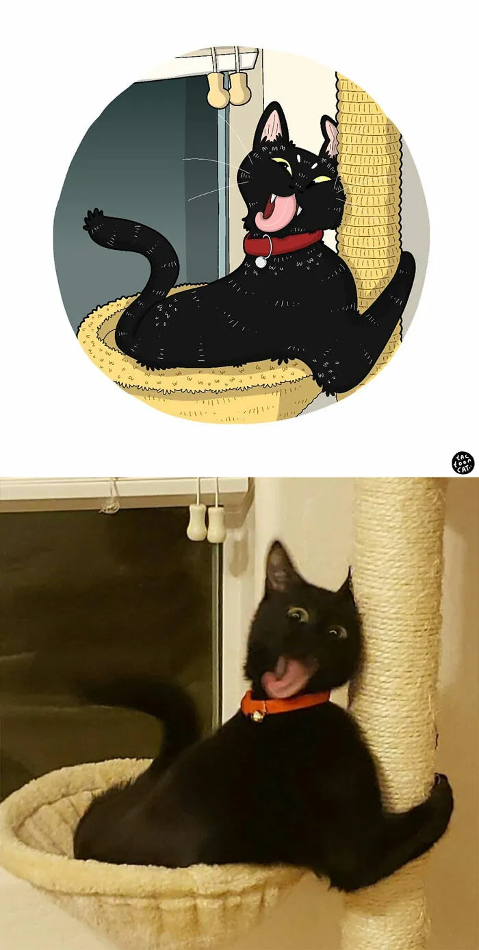 Viral Cat Memes Are Transformed Into Purr-Fect Cat Illustrations (New Pics)