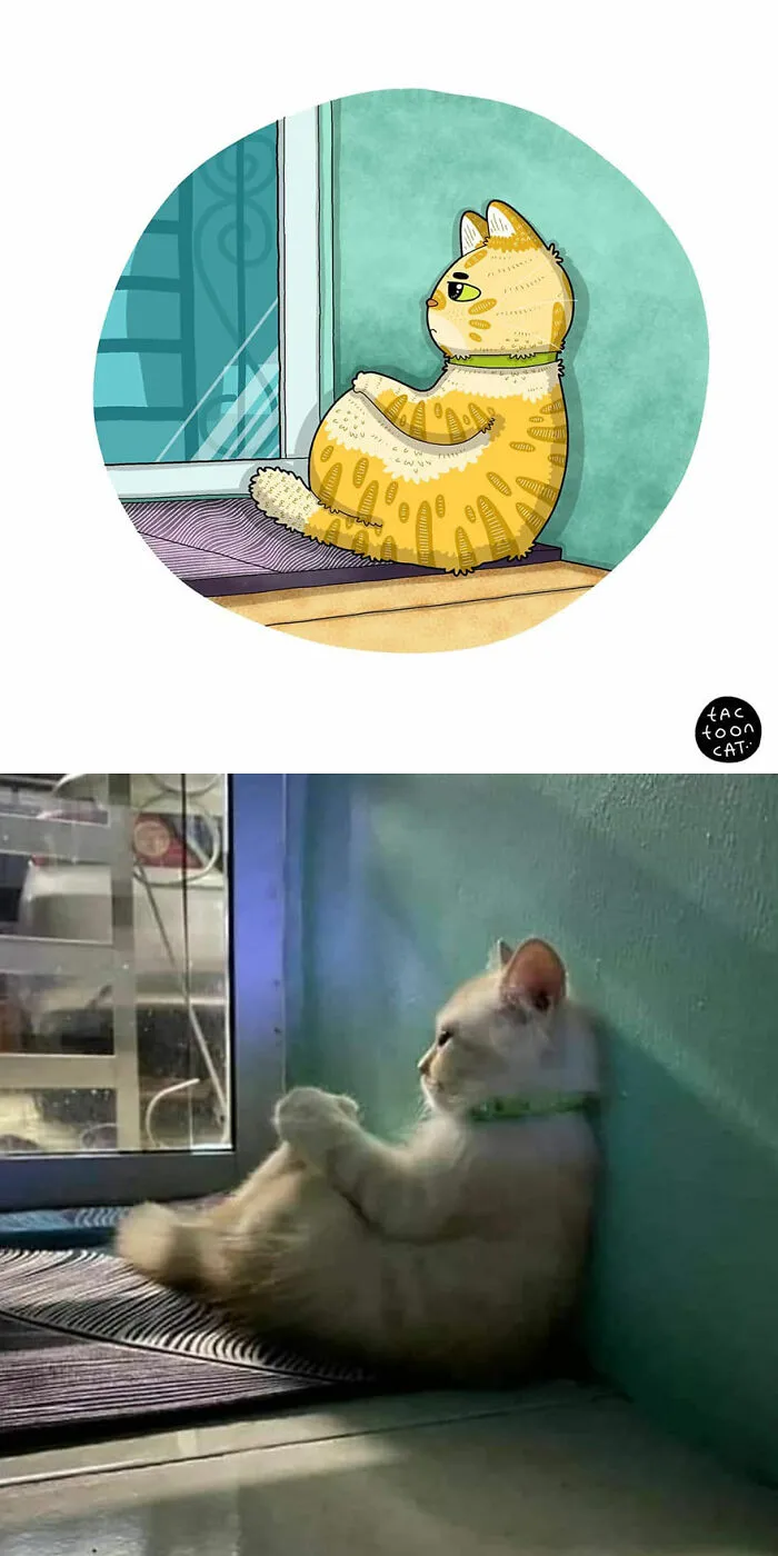 40 Of The Funniest Internet-Famous Cat Pics Get Illustrated By Tactooncat (New Pics)