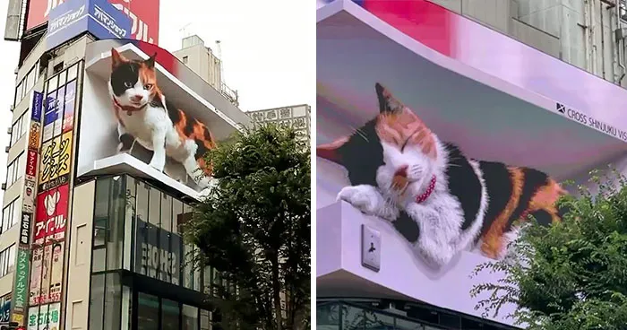 Esta pantalla publicitaria gigante con un gato hiperrealista en 3D cautiva a los viandantes de Tokyo