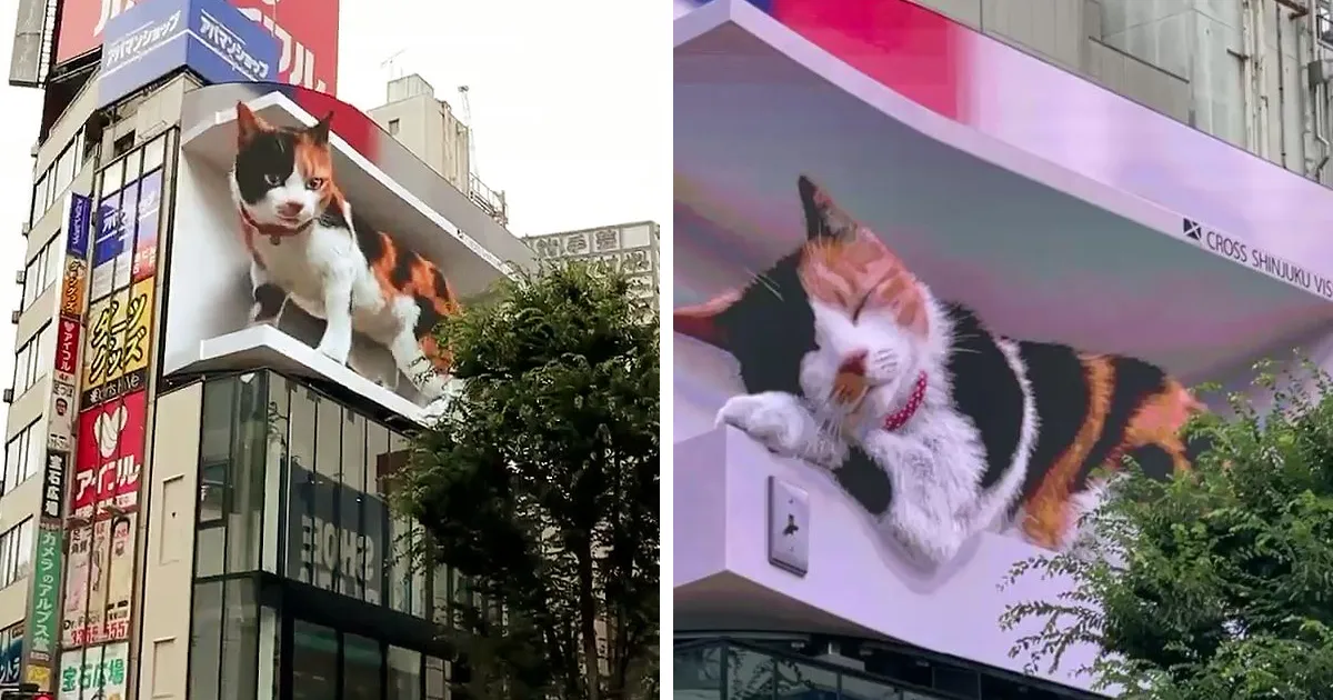 Esta pantalla publicitaria gigante con un gato hiperrealista en 3D cautiva a los viandantes de Tokyo