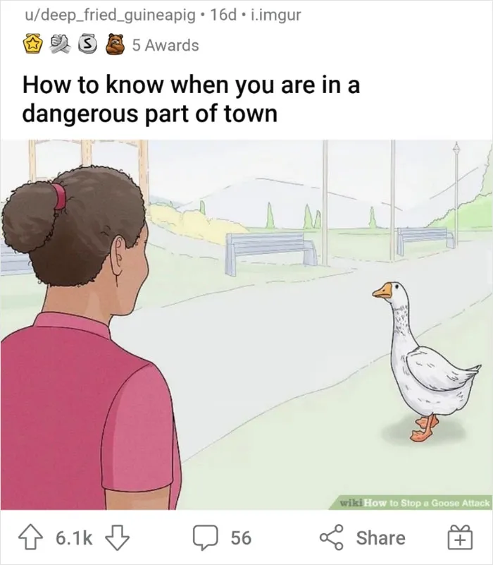 People Are Taking WikiHow Images Out Of Context And Adding Their Own Funny And Dark Captions (50 New Pics)