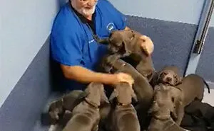 50 Times Vets Encountered The Cutest Pets At Work And Just Had To Take A Picture