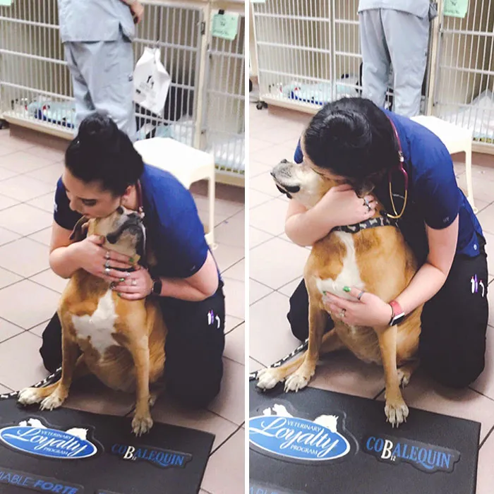 We Have To Hold Off The Jugular Vein After Drawing Blood, But This Sweet Old Girl Thought I Was Just There For The Hugs. This Is Why I Love My Job