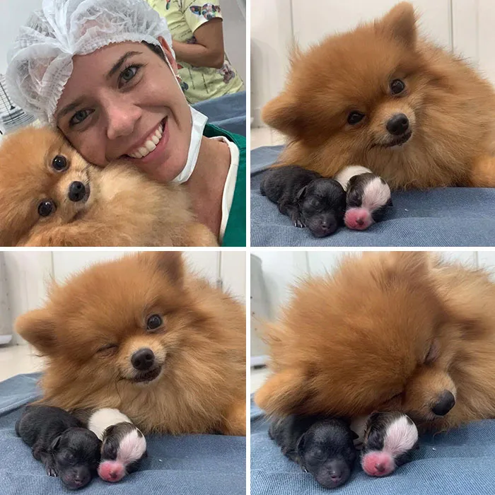 Proud Mum
