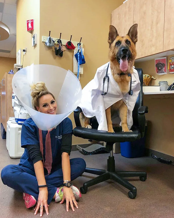 Doctor Doggo