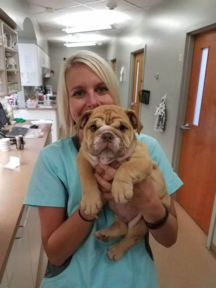 I Love My Job. Meet Norman