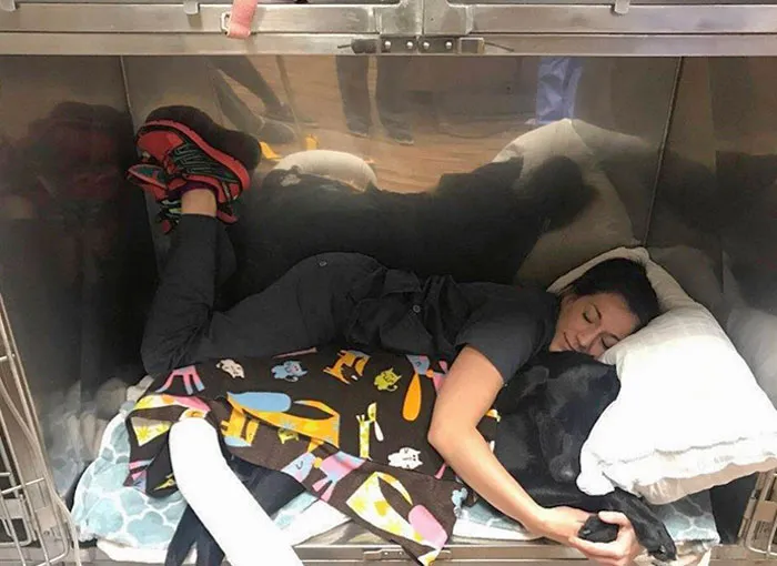 En mi trabajo nos tomamos los postoperatorios muy en serio; los abrazos son la mejor medicina