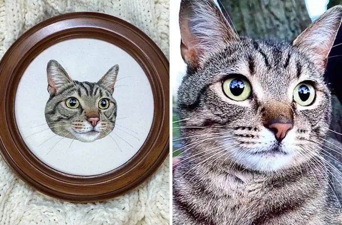 Este gato atigrado tiene tantas capas de puntadas que hacerlo se está volviendo un entrenamiento completo de brazos