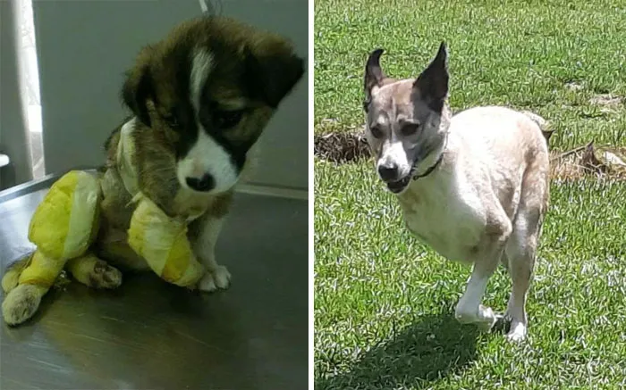 The Day We Met And Present Day. 11 Years Later