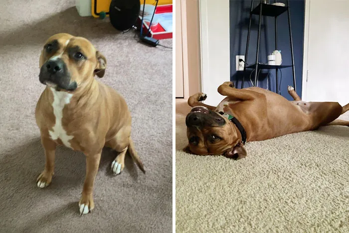 Three Months Later
