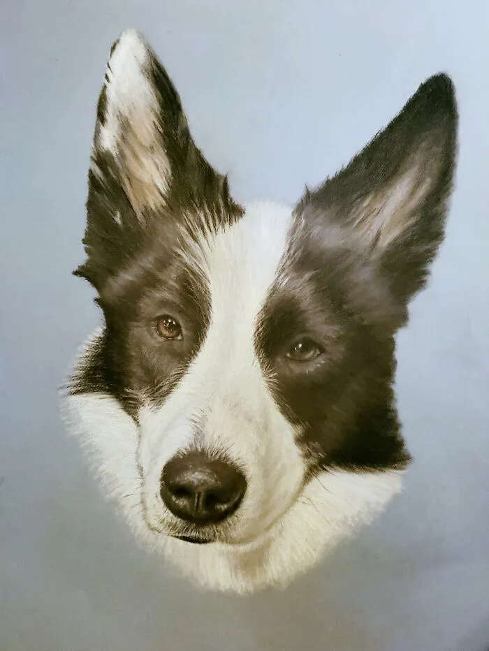 Nova