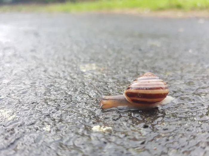 Verano en Inglaterra