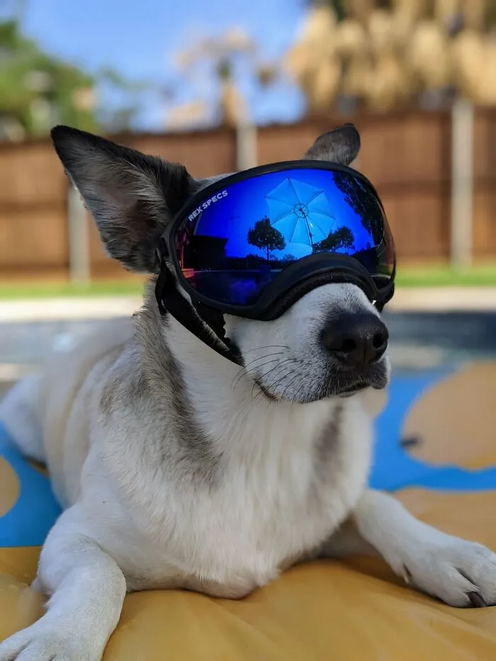 En la piscina con mi buen chico