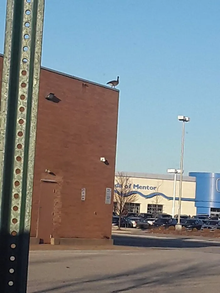 New Security System?