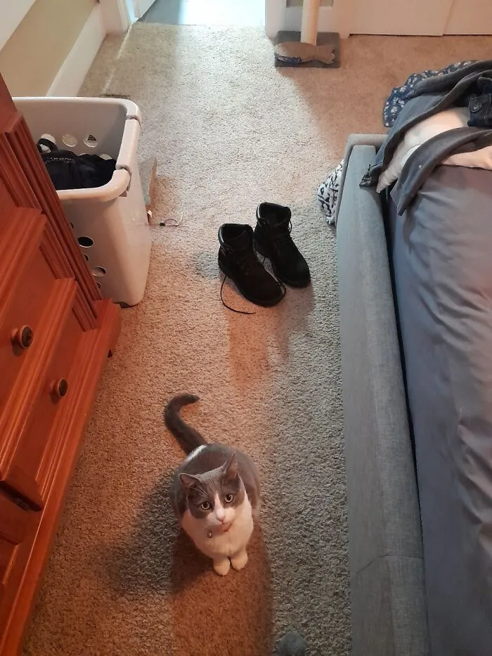 This Is Mona. She Likes To Beg For The Mealworms I Feed To The Lizards Lol