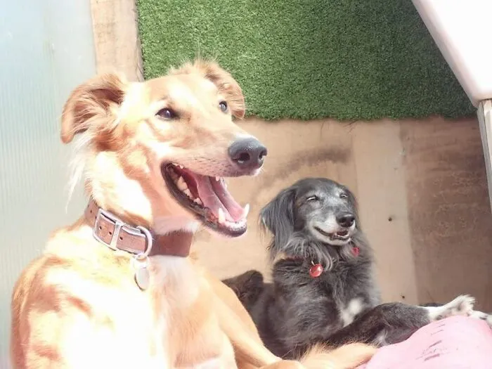 Solomon, 10yrs Old, And Mia, 14yrs Old, The Best Things To Ever Happen To Me