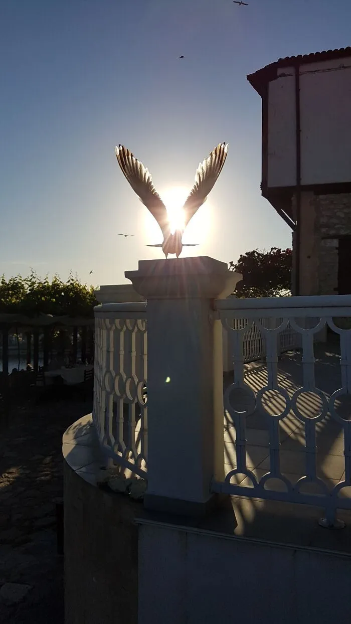Despegando hacia el sol