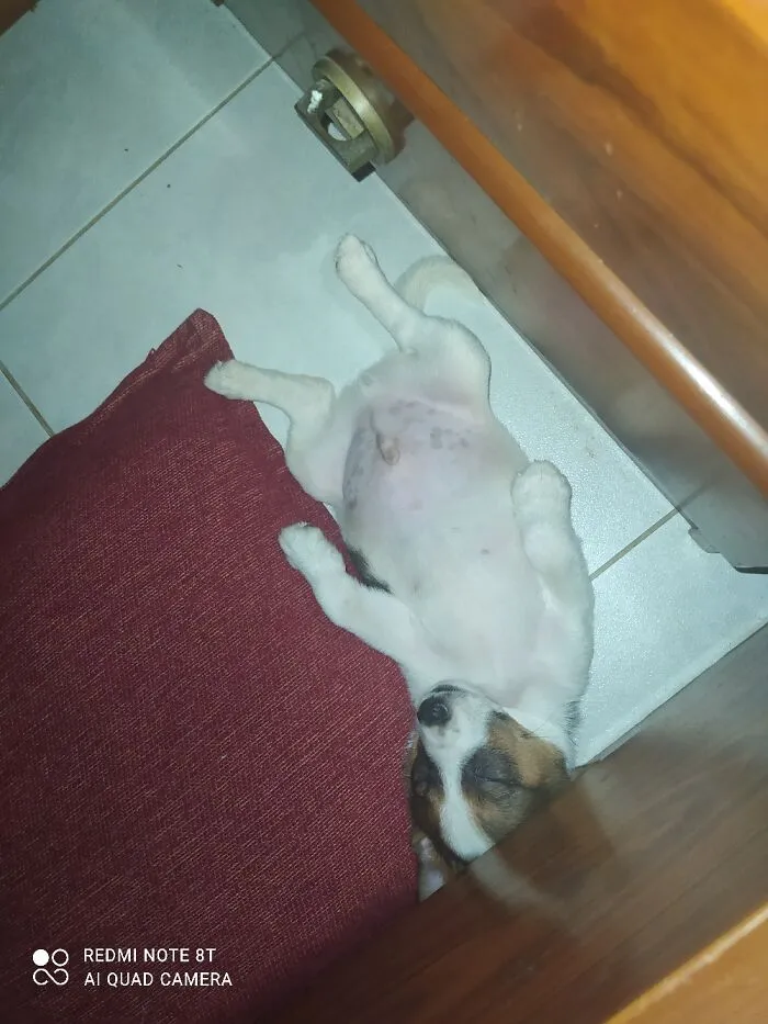 I Love This Belly..