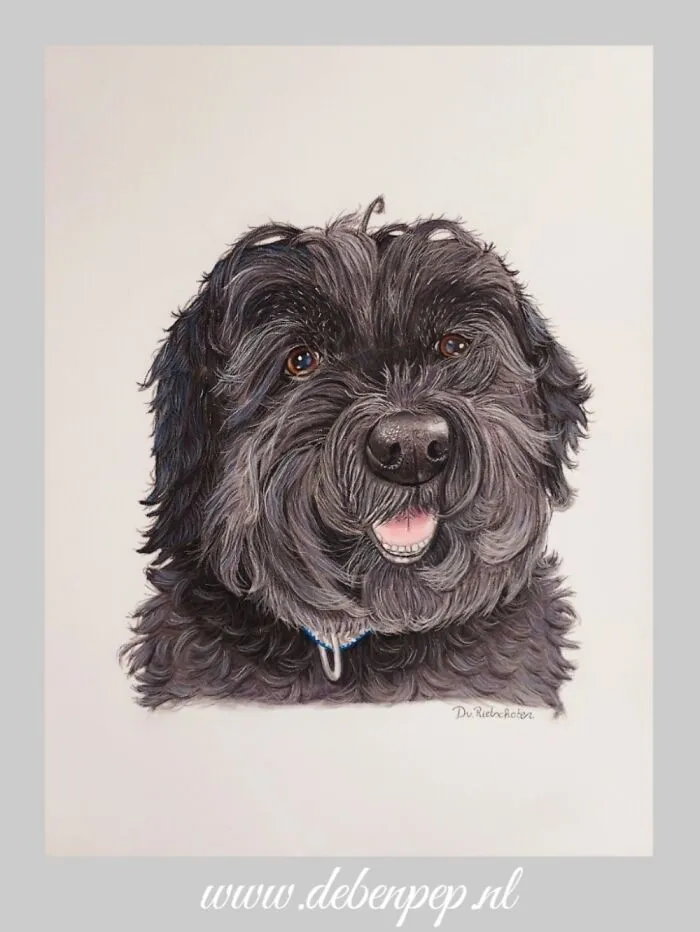 My 14 Year Old Dog Pepsi 😄. Pastel Pencils On Pastel Mat