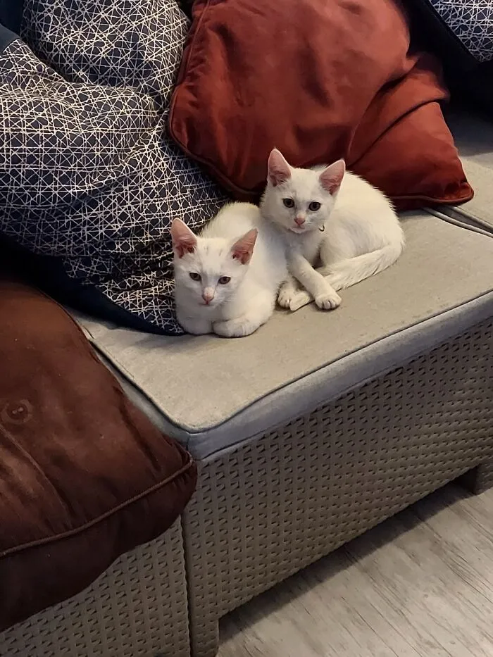 Lucy And Charlie