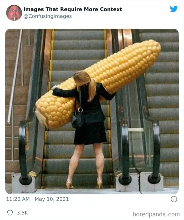 25 Divertidas y confusas fotos de la cuenta de Twitter “Imágenes que requieren más contexto”