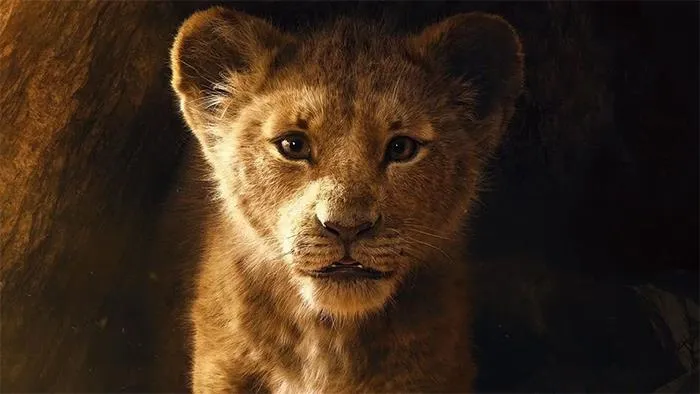 People Are Sharing All The Signs That A Movie Is Going To Be Terrible, And Here Are 30 Of The Most Accurate Ones