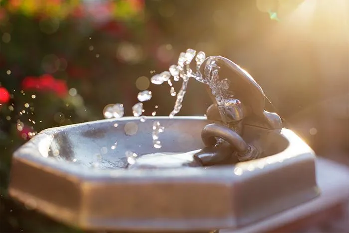 30 Things America Is Doing Right, According To Non-Americans