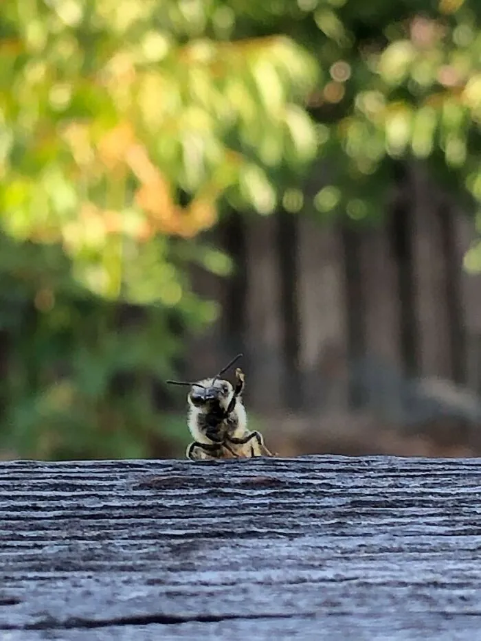 Well Hi! 