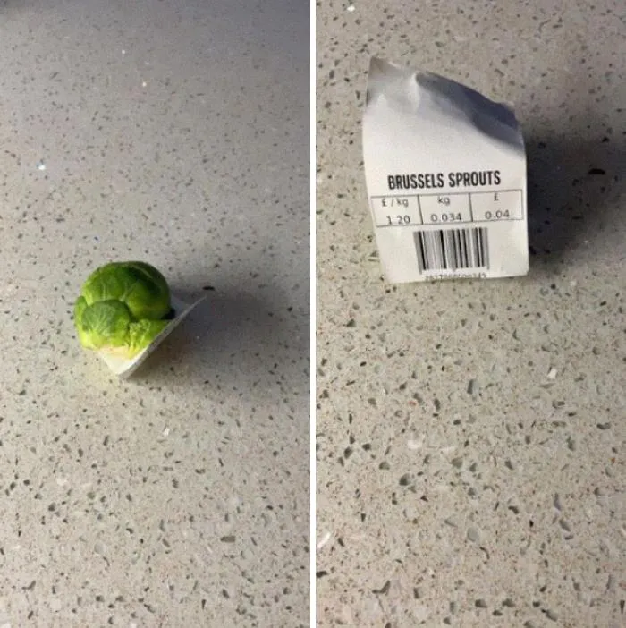 Ordered One Brussel Sprout Instead Of 1kg! Need To Cut It Into Four To Go Round!