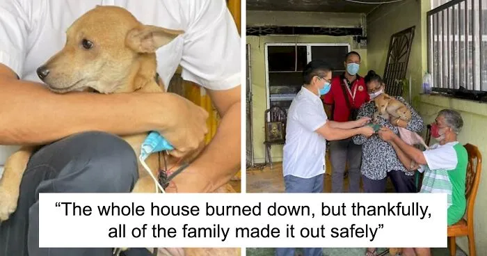This Family Of Five Got Saved By A Dog Who Woke Them Up During A Fire