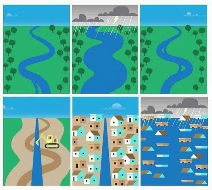 30 Environmental Memes That People Who Are Sick Of Capitalism Destroying The Planet Can Relate To, As Shared On This Page