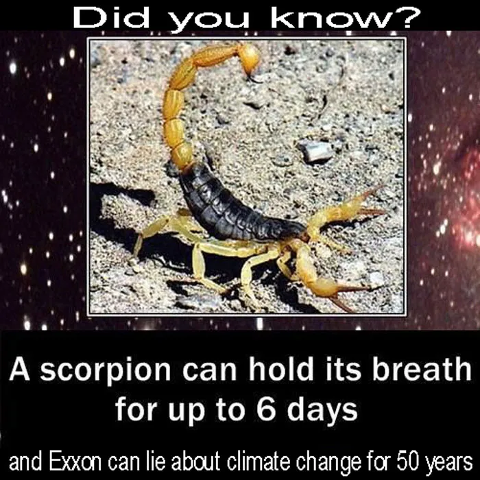 30 Environmental Memes That People Who Are Sick Of Capitalism Destroying The Planet Can Relate To, As Shared On This Page