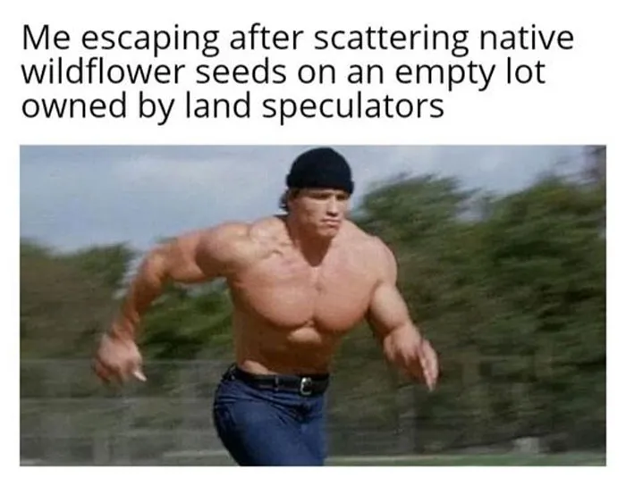 30 Environmental Memes That People Who Are Sick Of Capitalism Destroying The Planet Can Relate To, As Shared On This Page