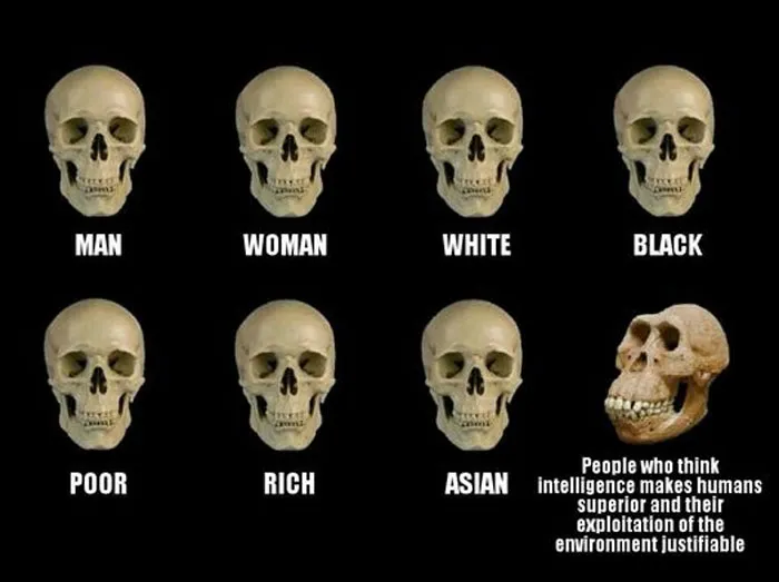 30 Environmental Memes That People Who Are Sick Of Capitalism Destroying The Planet Can Relate To, As Shared On This Page