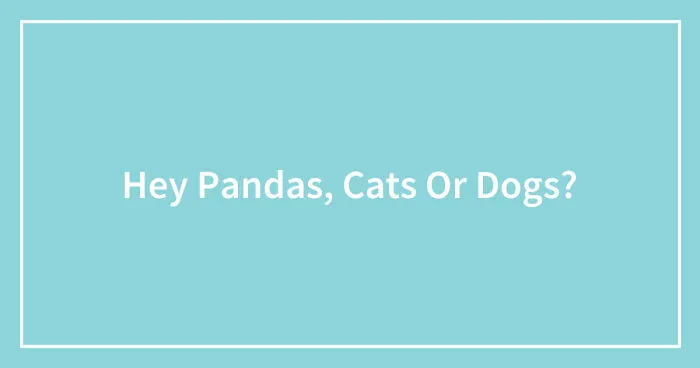 Hey Pandas, Cats Or Dogs? (Closed)