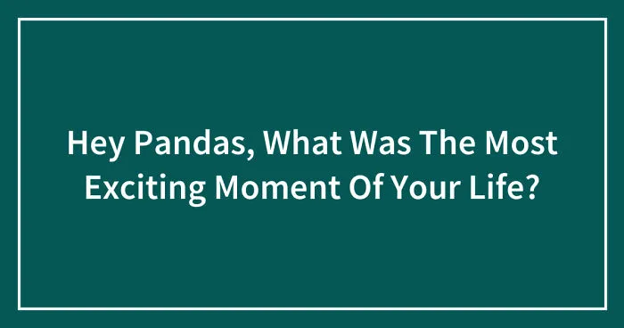 Hey Pandas, What Was The Most Exciting Moment Of Your Life? (Closed)