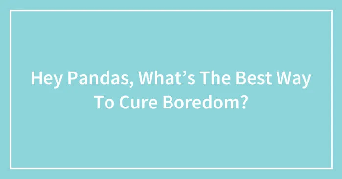 Hey Pandas, What’s The Best Way To Cure Boredom? (Closed)