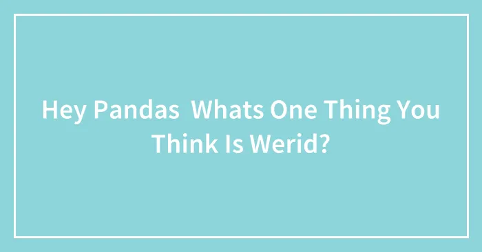 Hey Pandas  Whats One Thing You Think Is Werid?