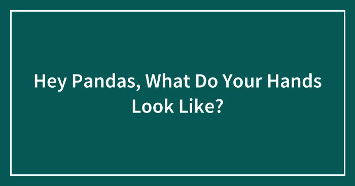 Hey Pandas, What Do Your Hands Look Like? (Closed)