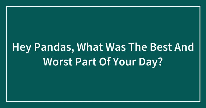 Hey Pandas, What Was The Best And Worst Part Of Your Day? (Closed)