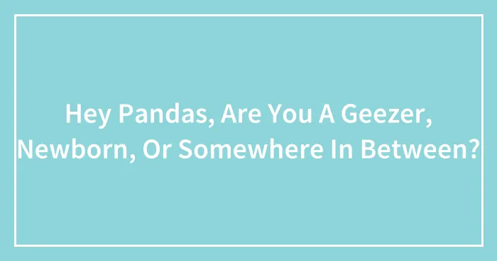 Hey Pandas, Are You A Geezer, Newborn, Or Somewhere In Between? (Closed)