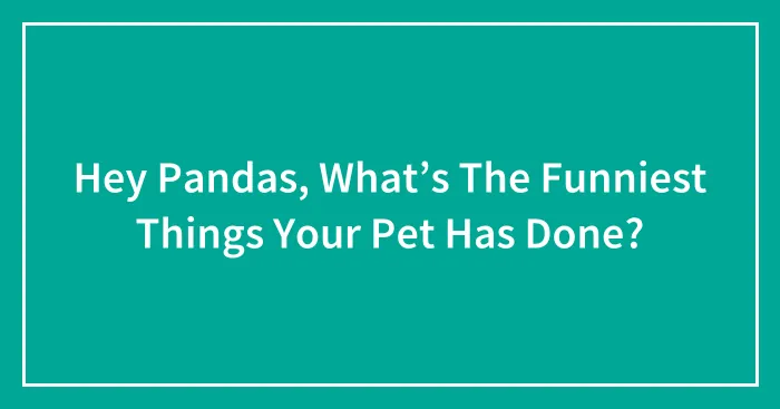 Hey Pandas, What’s The Funniest Things Your Pet Has Done?