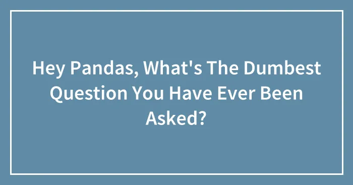 Hey Pandas, What's The Dumbest Question You Have Ever Been Asked? (Closed)