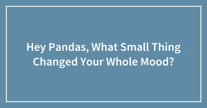 Hey Pandas, What Small Thing Changed Your Whole Mood? (Closed)