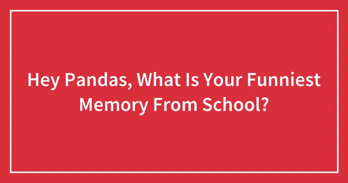 Hey Pandas, What Is Your Funniest Memory From School? (Closed)